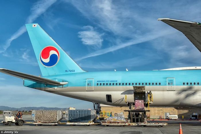 Thi hài của cố nghệ sĩ Chí Tài sau khi xuống máy bay.
