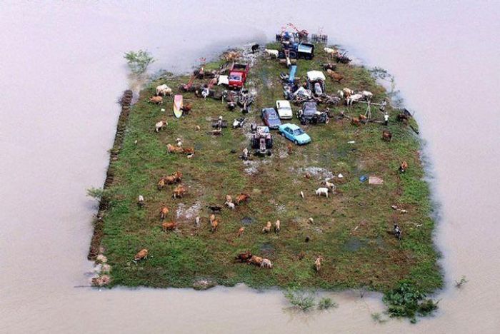 Đó không phải là diorama. Đó là một hòn đảo thực sự ở Malaysia, nơi mọi người thực sự sinh sống.