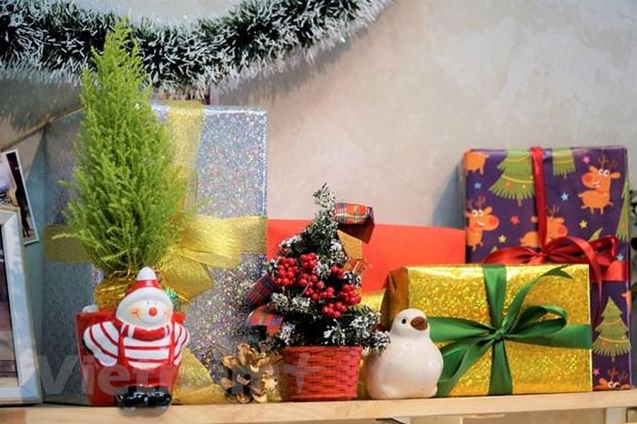 Cây tùng thơm đẹp, bền, thân thiện với tự nhiên rất phù hợp để trang trí tại các bàn làm việc và là quà tặng rất xinh xắn trong dịp lễ Giáng sinh này. Mùi hương của cây tùng còn có thể xua đuổi được muỗi nên càng được nhiều người ưa chuộng. (Ảnh: Minh Hiếu/Vietnam+)