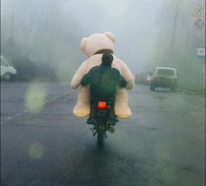 Mùa đông có "gấu" rồi còn sợ gì lạnh.
