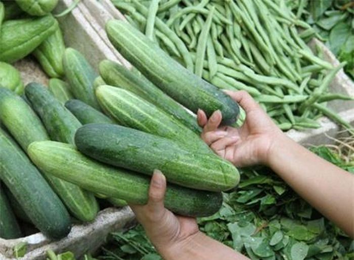 Ngoài chọn mua dưa chuột khỏi đắng, người tiêu dùng cũng phải có một số lưu ý nhất định khi ăn dưa