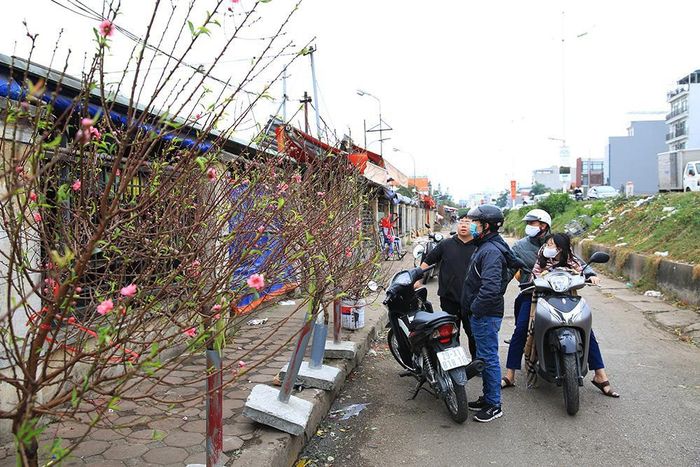 Nhiều người dân bất ngờ khi bên ngoài chợ Quảng An (quận Tây Hồ), những cành đào nở hoa được bày bán