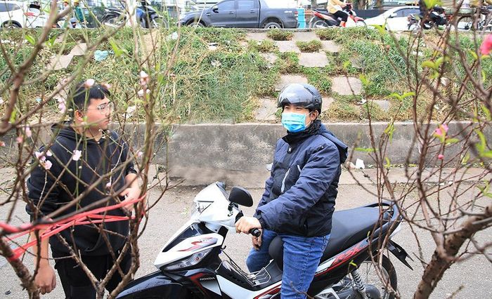 Giá mỗi cành dao động từ 150 nghìn đến 500 nghìn đồng tùy kích thước