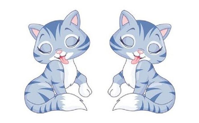 Tuổi Mão: Chuyện tình cảm suôn sẻ. Công việc tốt, tích lũy thêm kinh nghiệm, phát huy được năng lực khi cầ. Kinh nghiệm tài chính phong phú nên có thêm cơ hội kiếm tiền nhanh và dễ hơn những con giáp khác. Sức khỏe bình thường, dễ tức giận, nên chú ý đến gan.