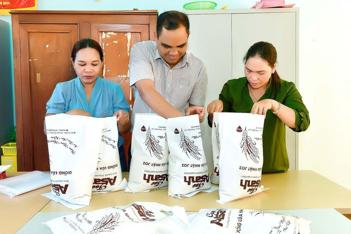 Anh Kor Tư và các thành viên trong tổ hợp tác đóng gói sản phẩm gạo A Sanh để cung cấp ra thị trường. Giá lúa gạo A Sanh hiện nay từ 15.000 đồng đến 20.000 đồng/kg.