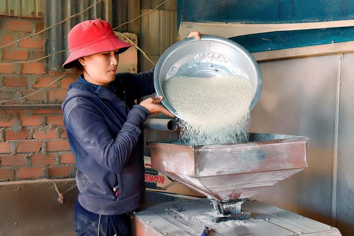 Chị Puih Alich (làng lang1, xã Ia Dêr) thành viên Tổ hợp tác cho biết: Gia đình tôi có 4 sào lúa nước 2 vụ trồng giống lúa mới J02, vụ mùa này gia đình tôi thu được 24 tạ, sau khi trừ chi phí còn lại hơn 6 triệu đồng.