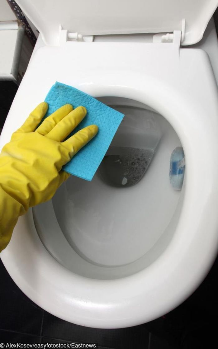 Nếu nhà bạn có khách, rất có thể họ sẽ sử dụng nhà vệ sinh. Vì vậy, dọn sạch sẽ và khử trùng kỹ lưỡng nhà vệ sinh là điều quan trọng phải làm.
