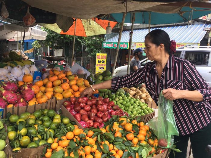 Bà Thủy, thương lái chuyên cung cấp đặc sản miền Bắc tại TPHCM cho biết, năm nay, cam Canh, bưởi Diễn trái chín sớm hơn một tháng so với các năm trước nên giá giảm. Giá bưởi Diễn bán ra tại vườn giảm gần 50% so với năm 2019. Nếu như cùng kỳ năm ngoái, bưởi Diễn có giá từ 15.000-17.000 đồng/trái thì hiện chỉ còn 7.000-8.000 đồng/trái, năng suất thu hoạch dự kiến cũng chỉ đạt 50-60%. Bên cạnh đó, hàng đẹp để chưng vào cận Tết chắc chắn sẽ tăng cao; hàng trái nhỏ, xấu để ăn sẽ tăng giá nhẹ.
