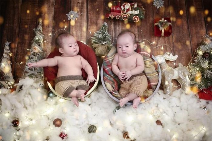 Mickey và Jerry rất hợp tác với nhiếp ảnh gia để có được những bức hình thú vị.
