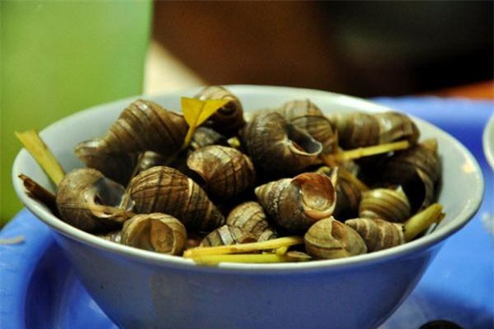 Muốn ốc luộc được ngon cần lưu ý trong quá trình luộc ốc.