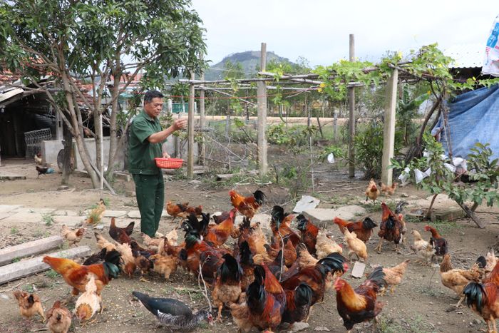 Người dân xã Tơ Tung (huyện Kbang) phát triển chăn nuôi để nâng cao thu nhập. Ảnh: Ngọc Minh