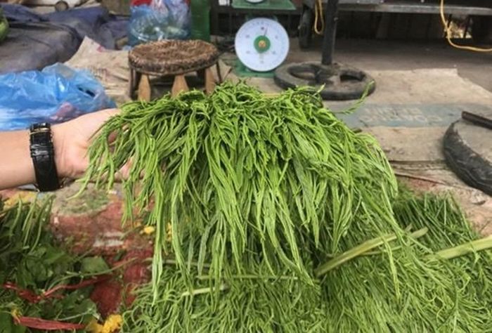 Dù có mùi thối nồng nặc nhưng rau thối lại được khá nhiều người Hà Nội ưa chuộng. Nhiều khách muốn mua thậm chí phải đặt trước bởi không phải lúc nào cũng có hàng.