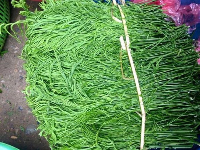 Đúng như tên gọi của nó, loại rau này đứng cách xa cả mét vẫn dễ dàng nhận ra bởi mùi thối nồng nặc của nó.