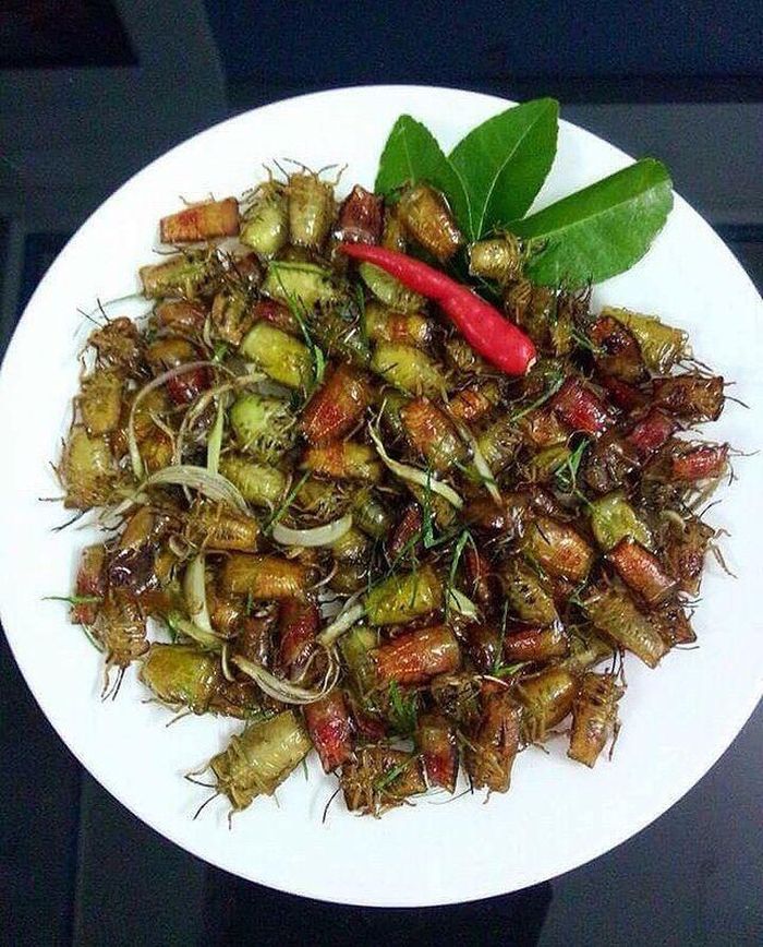 Vào mùa, bọ xít được các đầu mối lùng mua rất nhiều, gây sốt trên khắp trang mạng xã hội. Bởi thế mà nhiều người dân ở Sơn La đi bắt và bán đặc sản quê hương kiếm thêm thu nhập.