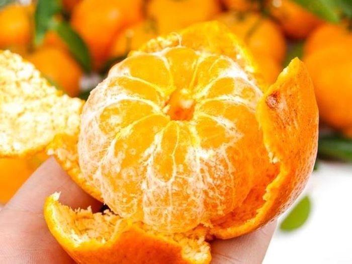 Trái cây theo mùa: Một số loại trái cây theo mùa như cam, nho rất tốt để kiểm soát mức cholesterol. Bởi chúng chứa nhiều vitamin, các chất chống oxy hóa và dinh dưỡng thiết yếu.