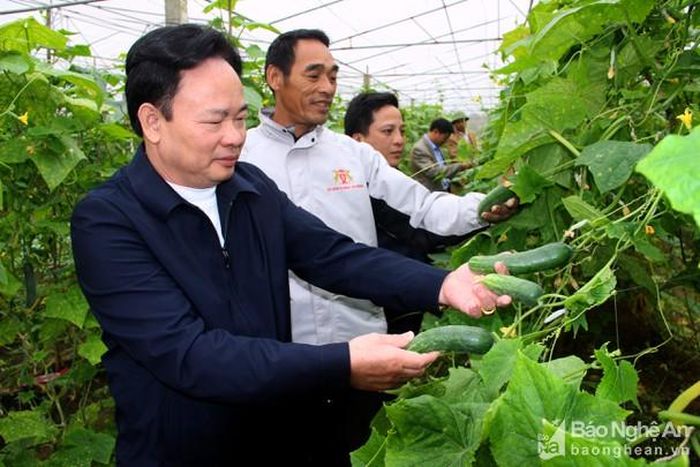 Xã Diễn Hải đã xây dựng thành công nhiều mô hình nông nghiệp công nghệ cao. Ảnh tư liệu Quang An