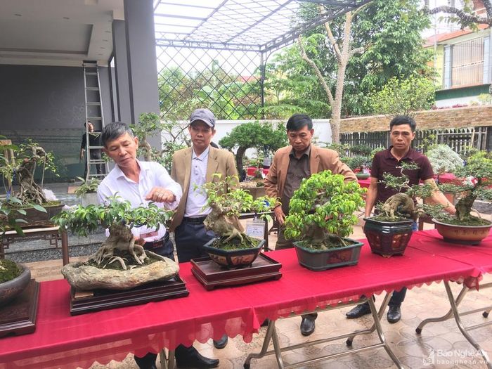 Để có những cây bonsai đẹp là cả một quá trình kỳ công của người tạo tác. Ảnh: Ngọc Phương