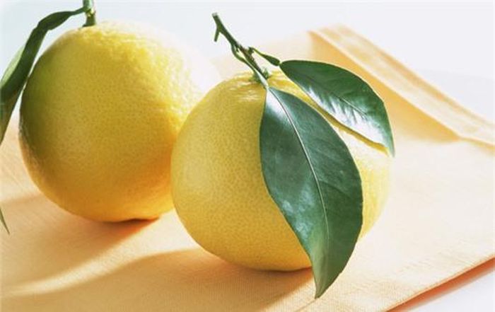 Trong bưởi có chứa emzyme giúp đốt cháy cất béo trong cơ thể. Ảnh minh họa