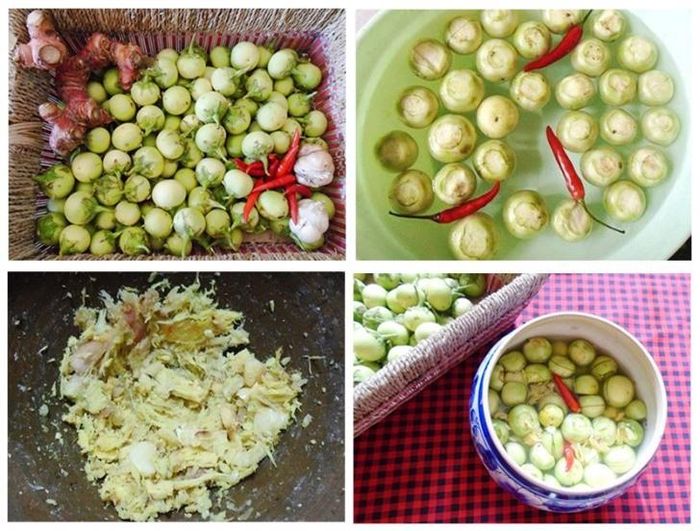 Muối cà ngon, giòn, trắng với các bước dễ thực hiện