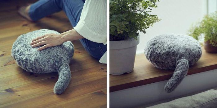 Qoobo, chú mèo robot không đầu và thú cưng mới được yêu thích của Nhật Bản. 