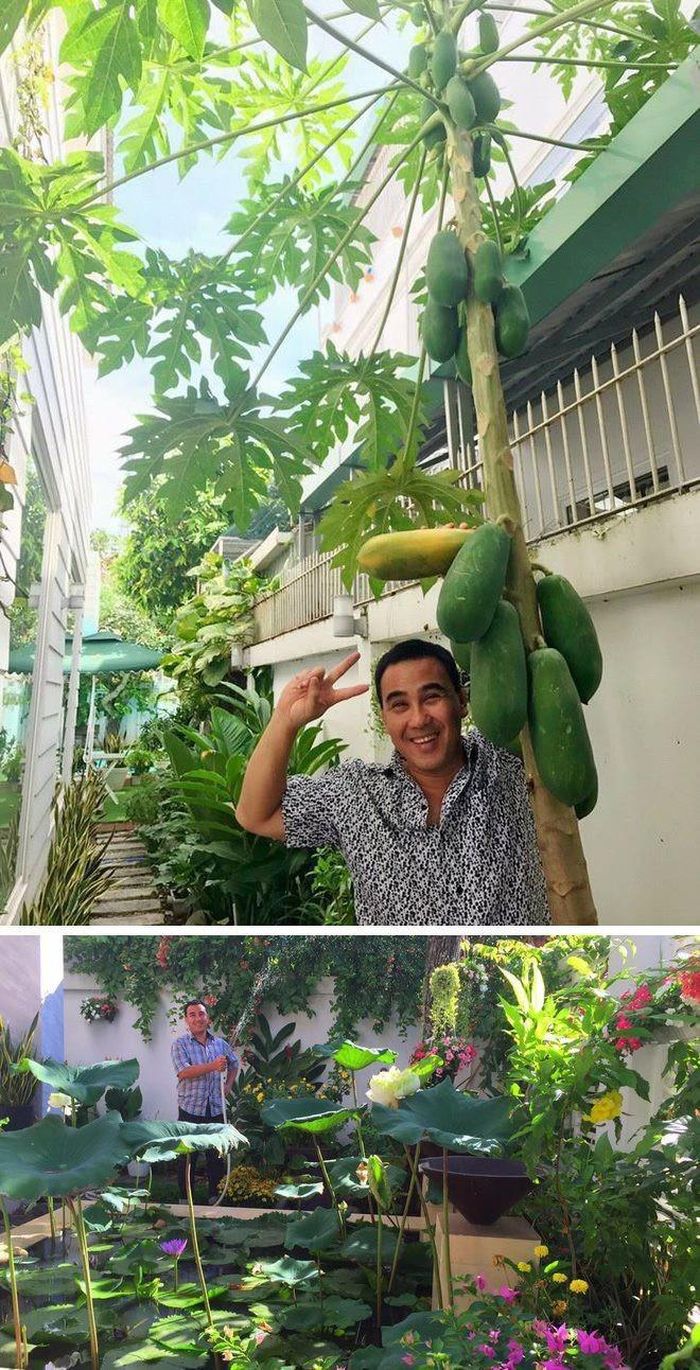 Vườn rau xanh nhà Quyền Linh khá phong phú với đa dạng các loại rau tốt cho sức khỏe.