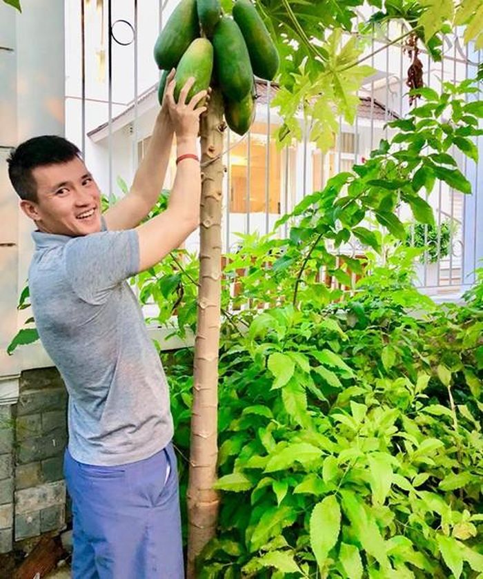 Vườn rau sạch của vợ chồng Thủy Tiên - Công Vinh được ví như nông trại mini vì trồng đủ loại rau, trái phổ biến trong bữa ăn gia đình.