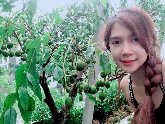 Ngoài rau xanh, Lý Hải - Minh Hà còn trồng các loại cây ăn quả như cóc, ổi, mít, xoài...