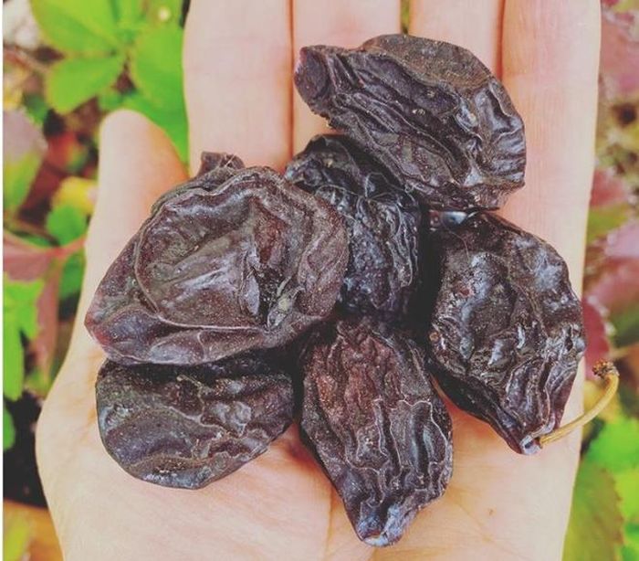 Ăn mận khô: Quả mận khô không chỉ giàu chất xơ mà còn chứa sorbitol, một loại đường có tác dụng làm lỏng chất thải, giúp giảm táo bón một cách tự nhiên.