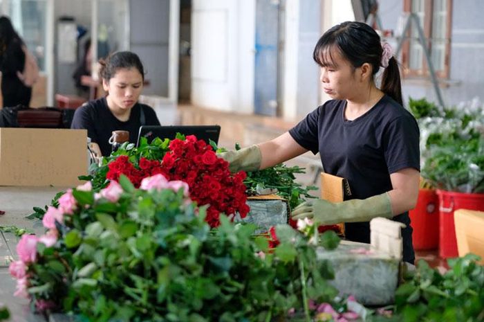 Từ khâu sơ chế, bảo quản sau thu hoạch đều được thực hiện một cách cẩn thận, tỉ mỉ