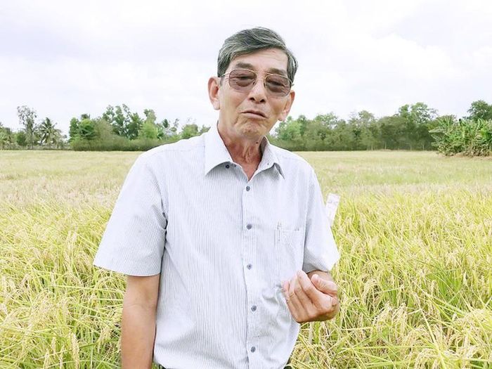 Kỹ sư Hồ Quang Cua, người làm rạng danh hạt gạo Việt.
