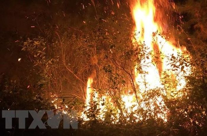 Hình ảnh cháy rừng trước khi được dập tắt.