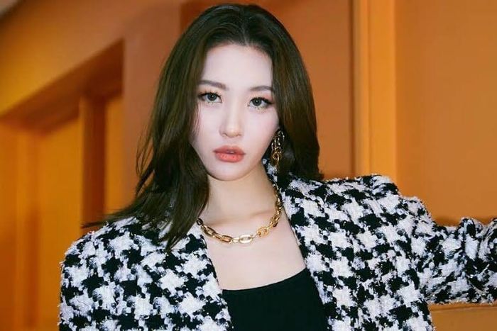  Sunmi từng giành chiến thắng cuộc thi dành cho ulzzang (cách gọi hot girl/hot boy ở Hàn) khi còn ngồi trên ghế nhà trường. Khi còn hoạt động dưới tư cách thành viên Wonder Girls, Sunmi bị đánh giá kém nổi bật. Tuy nhiên, sau khi rời nhóm và hoạt động solo, cô liên tục gặt hái thành công. Hai trong số sản phẩm giúp nữ ca sĩ nâng cao tên tuổi là Gashina và Heroines. 