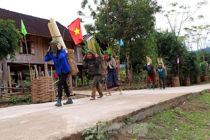  Để có thức ăn cho gia súc, người dân vào rừng chặt chuối rồi gùi về nhà thái mỏng.
