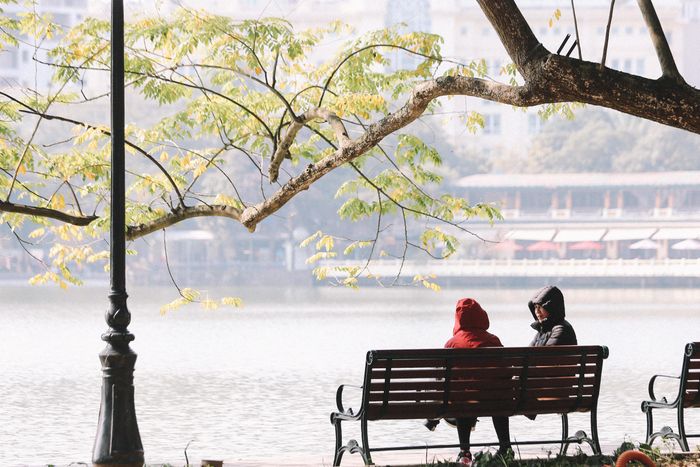 Mùa đông cứ nhẹ nhàng như thể khắc sâu vào tâm trí của những người Hà Nội.