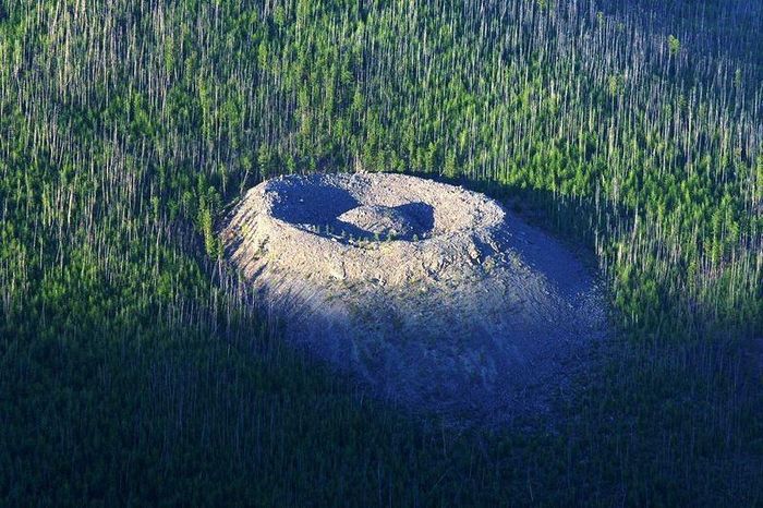 Các chuyên gia tiến hành nghiên cứu những cây gỗ mọc xung quanh gò đá vôi Patomskiy. Kết quả cho thấy những cây này có niên đại khoảng 250 năm tuổi.
