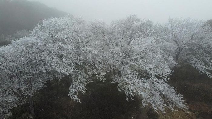 Đây là đỉnh núi có độ cao 1.931m so với mực nước biển, được ví như "nóc nhà” phía Tây của tỉnh Cao Bằng. Ảnh FB Phạm Hữu Tuyền. 