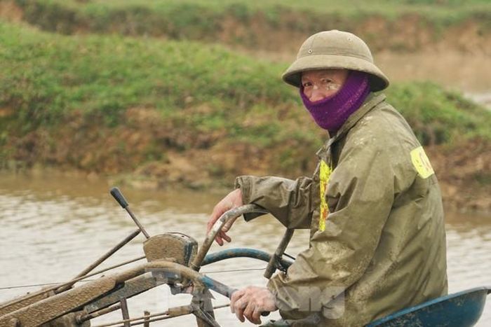 Nhiệt độ khoảng 10 độ C, nông dân Hà Tĩnh xuống ruộng cho kịp với kế hoạch gieo cấy vụ mùa.