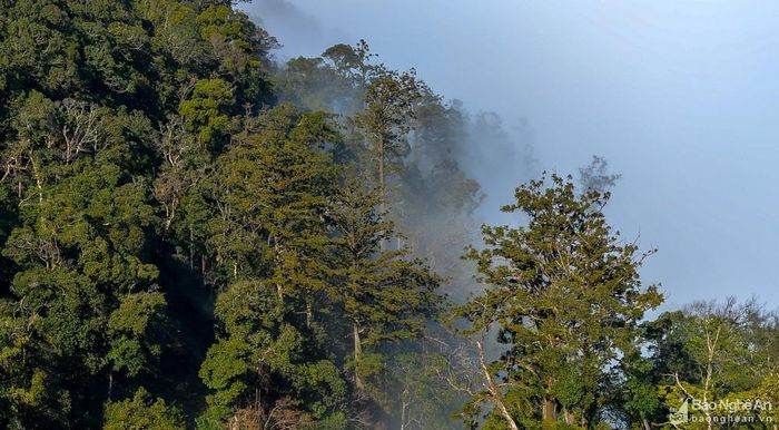 Từ Buộc Mú, du khách có thể di chuyển thêm 15km đường bộ nữa để check-in đỉnh Pu Xai Lai Leng giáp biên giới Việt - Lào. Pu Xai Lai Leng cao 2.782m, được mệnh danh là nóc nhà của xứ Nghệ. Ảnh: Thành Cường