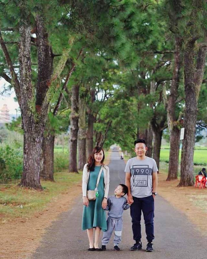 Bức ảnh do anh Bùi Văn Hùng chụp cho khách khi đưa họ đi tham quan ở hàng thông trăm tuổi (ảnh nhân vật cung cấp).