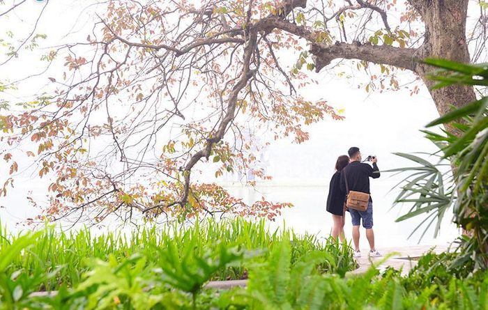 Vẻ đẹp mùa đông làm cho lòng người xao xuyến