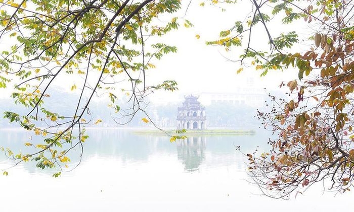 Hồ Hoàn Kiếm trở nên thơ mộng với muôn loài cây đang thay áo mới