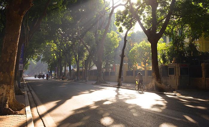 Nắng sớm trên phố Phan Đình Phùng, con phố đẹp và lãng mạn của Thủ đô