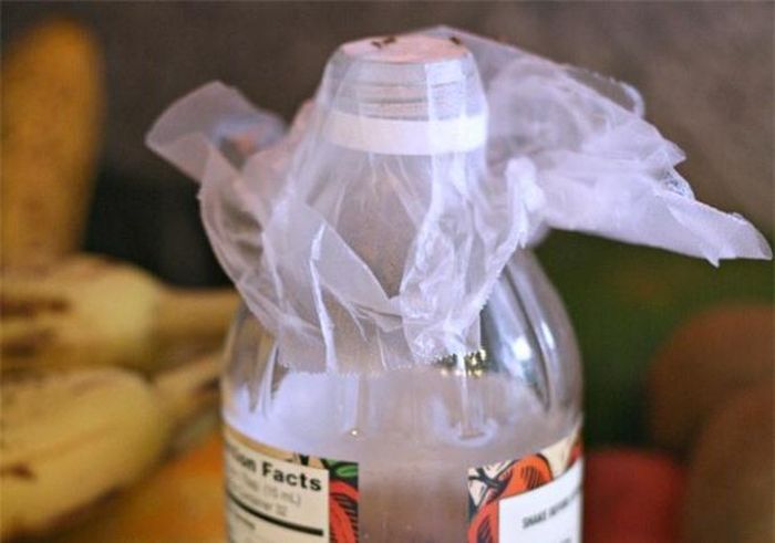 Giấm có tác dụng xua đuổi côn trùng.