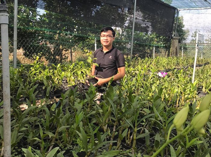 Vườn lan do anh Trần Liên Hiệp (SN 1994, ở thôn 12, xã Nam Dong, Cư Jút, Đắk Nông) nhân nuôi bằng phương pháp cấy mô Ảnh: H.T