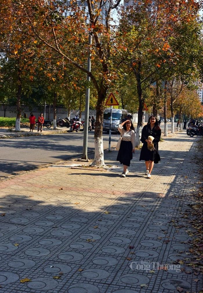 Con đường phong lá đỏ đầy thơ mộng