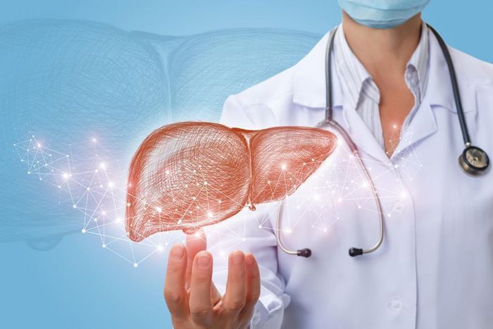 Ung thư gan là căn bệnh phổ biến nhất ở Việt Nam năm 2020, tính chung cả 2 giới. Ảnh: IARC.