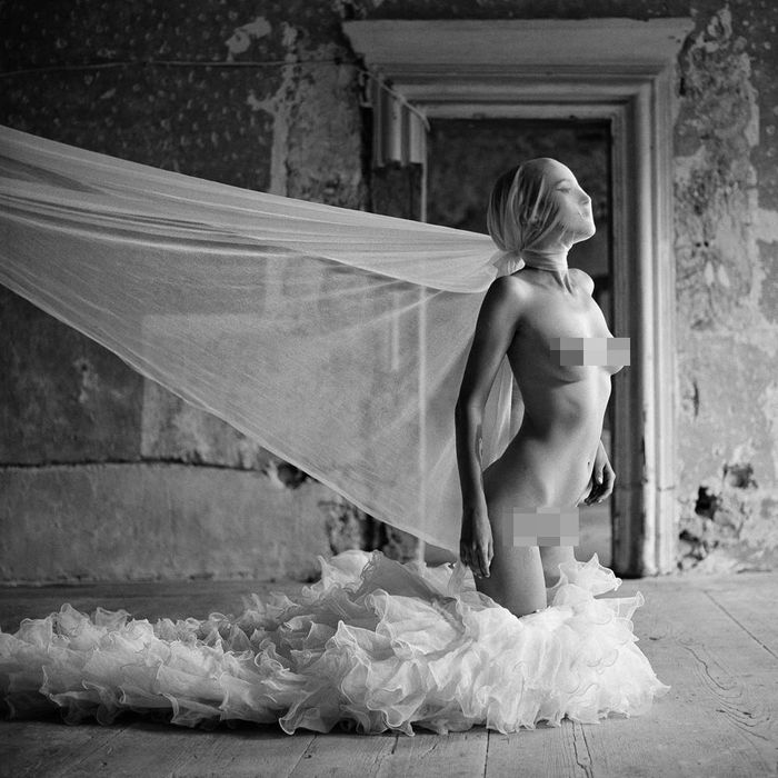 “Butterfly's momentary life”