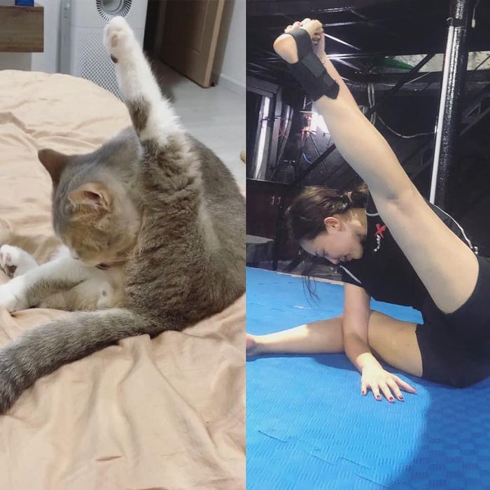 Nữ ca sĩ còn phải "gật gù" thừa nhận tư thế của mình giống chú mèo đến ngỡ ngàng.