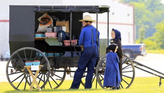 Người Amish tập trung nhiều nhất ở 3 bang tại Mỹ là Ohio (đông nhất), Pennsylvania và Indiana. Ảnh: AP.