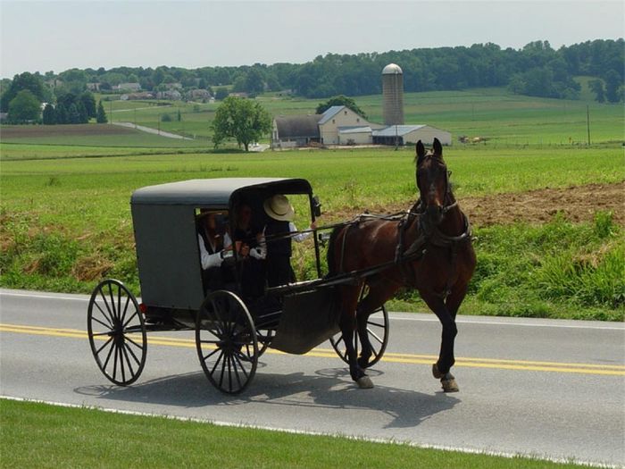 Người Amish chọn cách vận chuyển bằng ngựa để giữ cho cộng đồng ở địa phương có sự gắn kết hơn. Ảnh:Wikimedia.